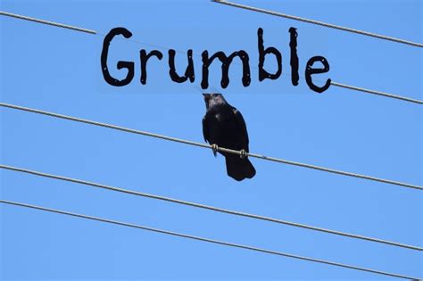 grumble font ffontsnet