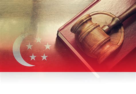 constitution governance lions prostheses centre singapore