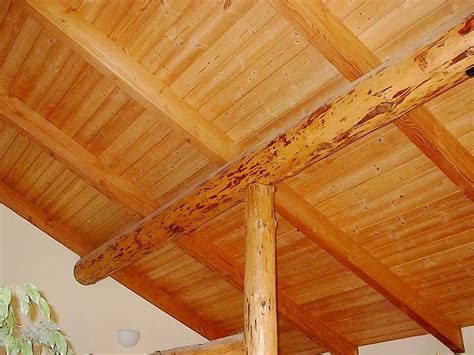 timber frame natural home builders