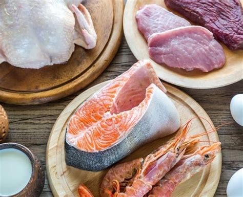 mengenal diet dukan beserta manfaat  menu makanannya