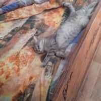 IRecommend.ru | отзывы