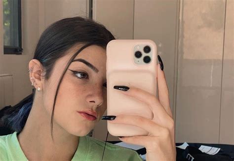 The Charli D'Amelio Scandal: A Case Study in Online Privacy - ik1kr0s
