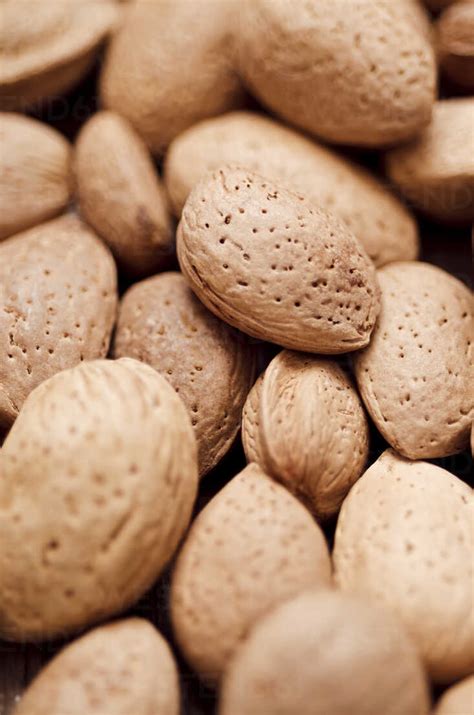 almonds  shell close  stock photo