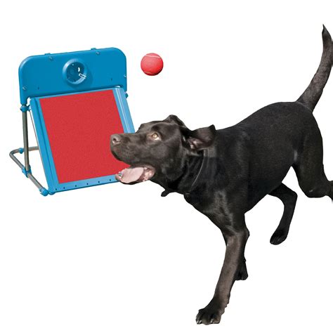 Rosewood Pet Agility Flyball Dog Training Toy - Walmart.com - Walmart.com