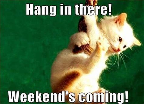hang   weekends coming pictures   images