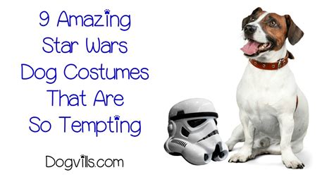 9 Amazing Star Wars Dog Costumes That Are So Tempting - http://www ...