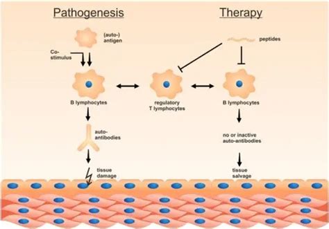 peripheral tolerance pathosomes