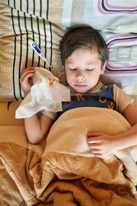 Why you should feed both cold and fever | Mirage News