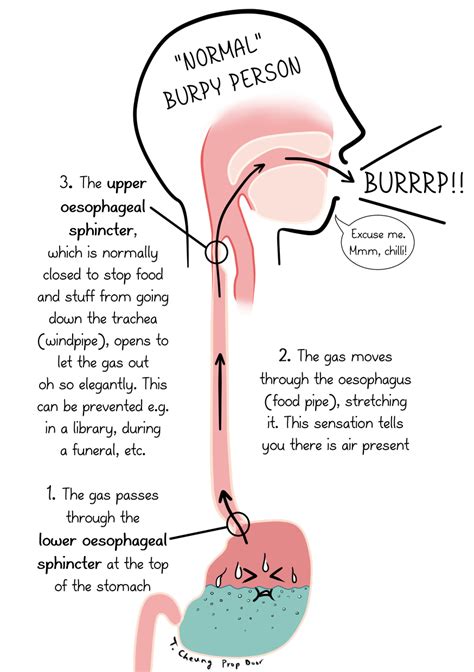 I Can't Burp - The Illustrated Guide - Behind the Prop Door