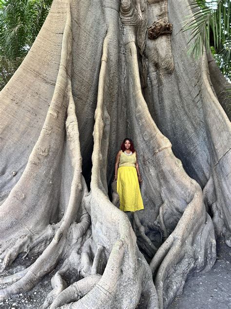 Sophia Bailey-Larsen