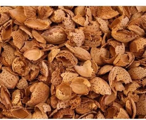 dry almond shell manufacturer  jaipur
