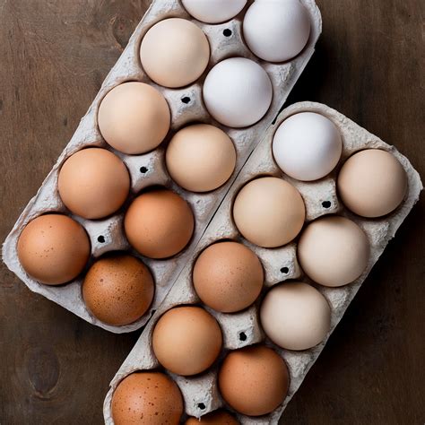 eggs  egg products unifood group