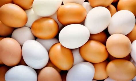 Скільки яйця будуть коштувати на Великдень: прогноз експерта – AgroReview