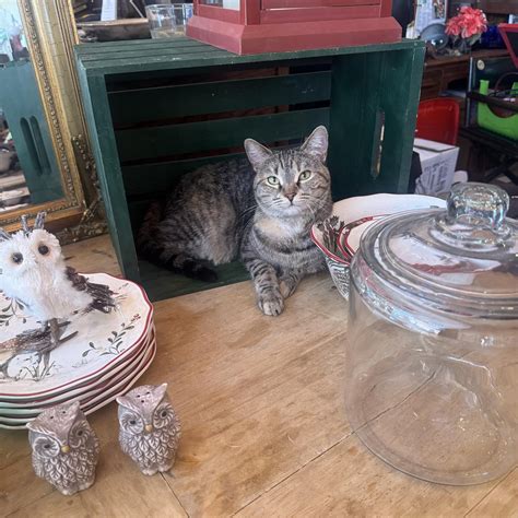 facebook marketplace abilene 6