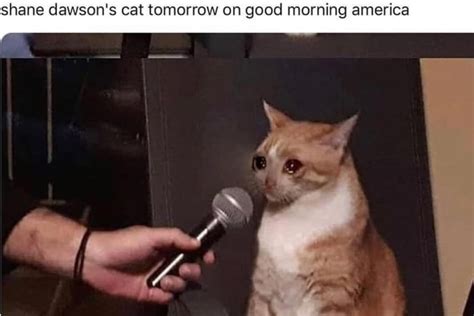 microphone memes memedroid