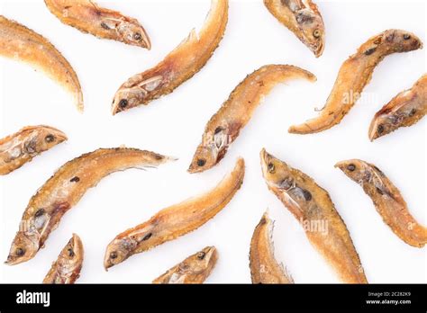 sheatfish  res stock photography  images alamy