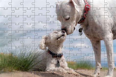 Free Online Jigsaw Puzzle - 47 Puzzles gratuit / 47 Free Jigsaws