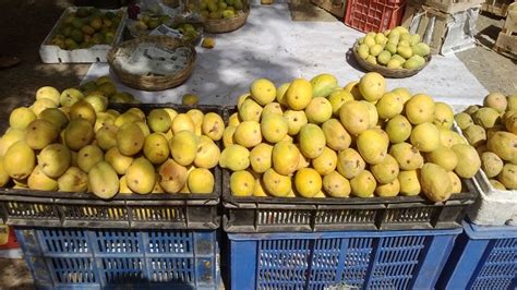 spice  life    mangoes