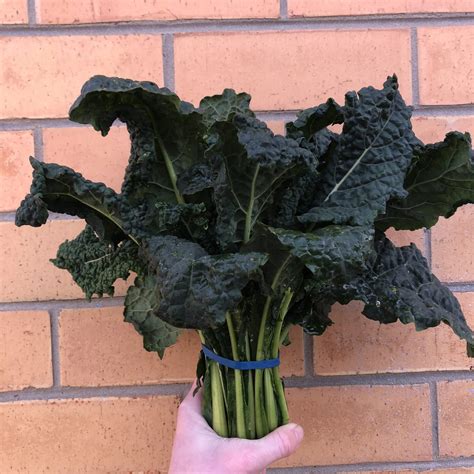 Organic Granny Smith Apples - SECONDS - The Wholefoods Crew