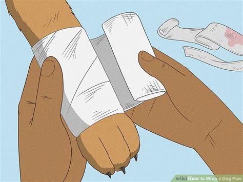 how to wrap dog paw