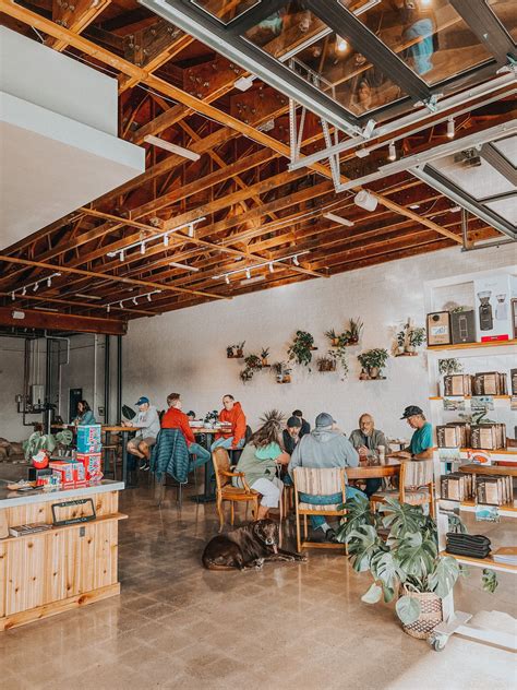 20 best oceanside ca coffee shops a local s guide 2023 – Artofit