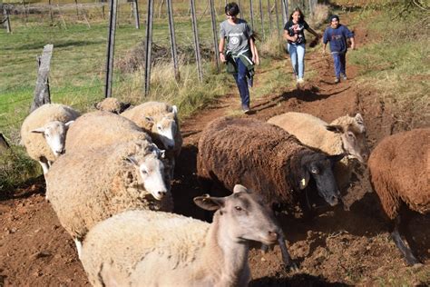 Atividades Realizadas No Campo - Escola do Campo Professor Maack propicia aos alunos atividades e ...