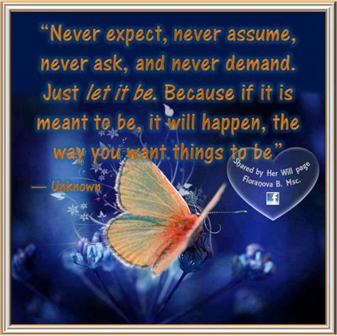 velvet  steel whats meant