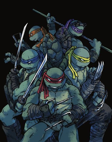 Teenage Mutant Ninja Turtles Members - Comic Vine