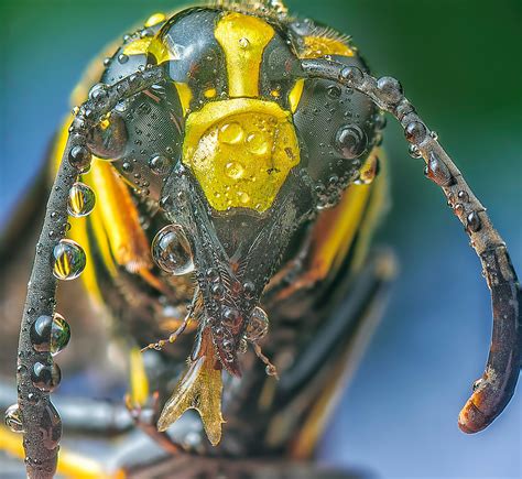 Big Booty Lightskin Photos, Download The BEST Free Big Booty Lightskin