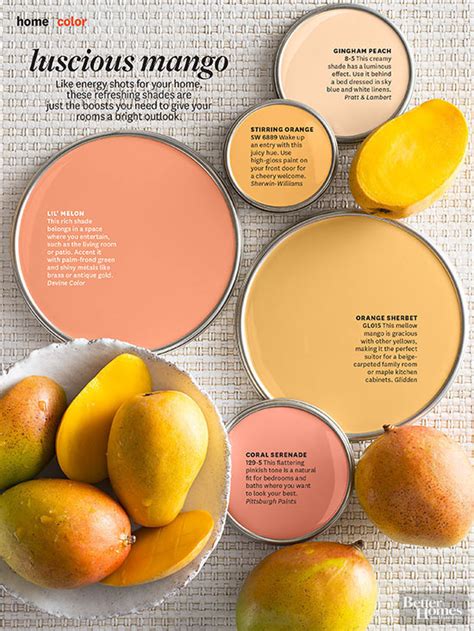 Decorating Your Home With Mango Paint Color - Paint Colors