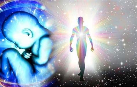 reincarnation  case study