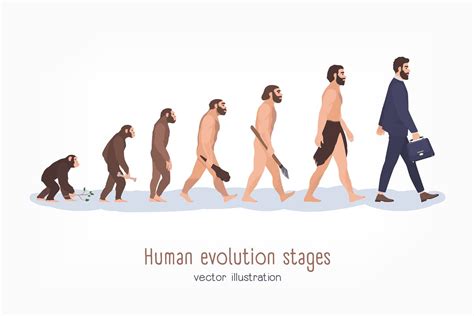 Human evolution stages | Pre-Designed Photoshop Graphics ~ Creative Market