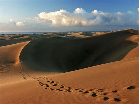 Maspalomas sand dunes, sunrise. Gran Canaria, Spain.