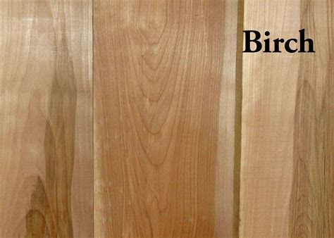 color  birch wood