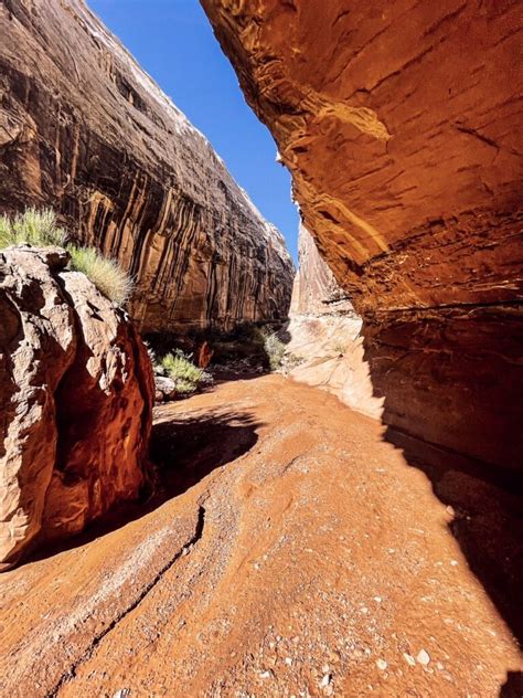 hike  grand wash trail capitol reef national park