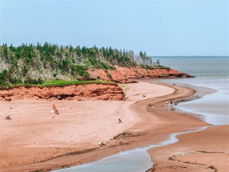 beaches  prince edward island canada drink tea travel