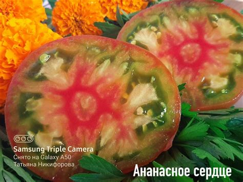 Томат Ананасное сердце: описание сорта, отзывы, фото | tomatland.ru