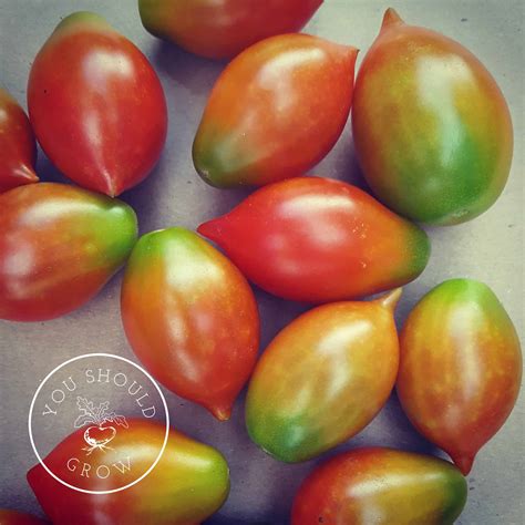 15 Household Items That Fertilize Your Garden - You Should Grow