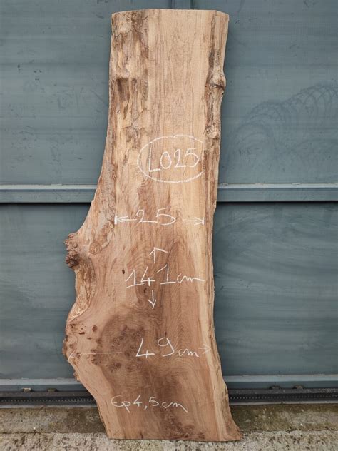 plateau planche orme bois brut