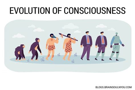 Conscious Evolution | The Universal Evolution of Consciousness