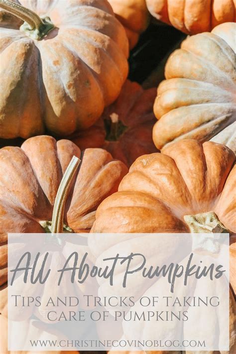 Pumpkin Tips and Tricks. Covers everything from picking the best ...