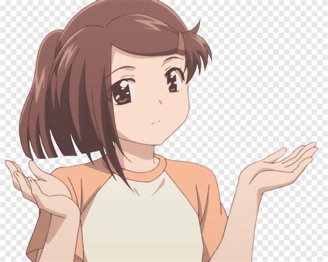 anime shrug meme  micheal weston blog