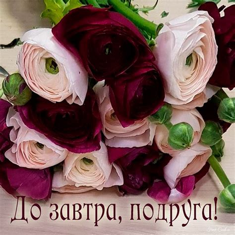 Открытки до завтра