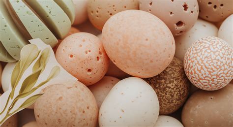 Biodiversity Support Systems → Term