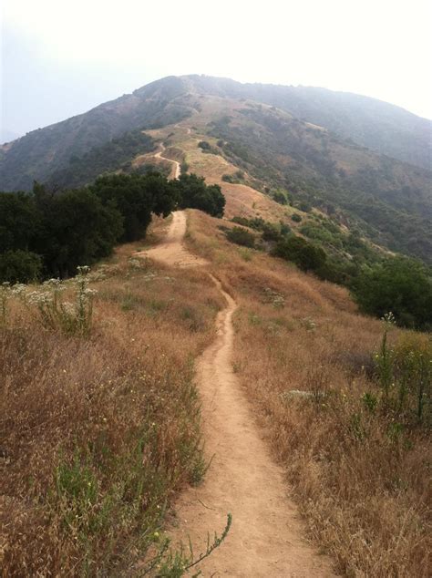 The secret hiking trail in martinez ca that offers stunning views 24