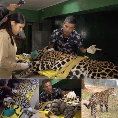 Latina.pe on Twitter: "Acompáñanos en esta nueva aventura este domingo