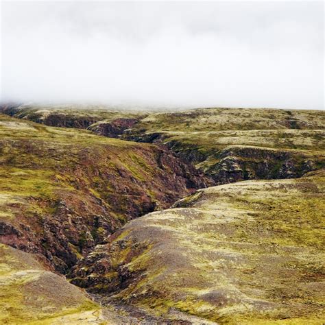 What is an Anal Fissure? | Anal Fissure Symptoms & Treatments – Forces