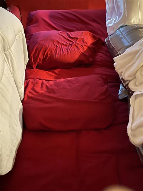 How to protect your pussy from pussy destroying pussies. : r/SexDolls
