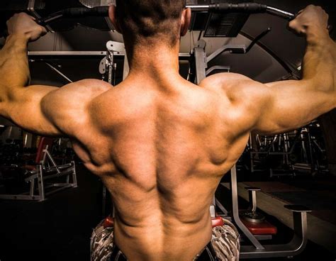 upper  training lift big eat big