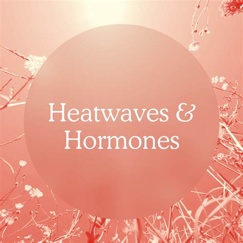 what does in heat mean for humans 2
